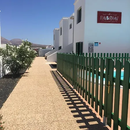 Flamboyant Adults Only *