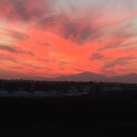 Flamboyant Adults Only *