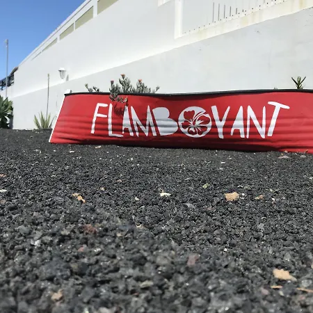 Flamboyant Adults Only * Пуерто-дель-Кармен