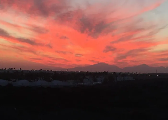 Flamboyant Adults Only *