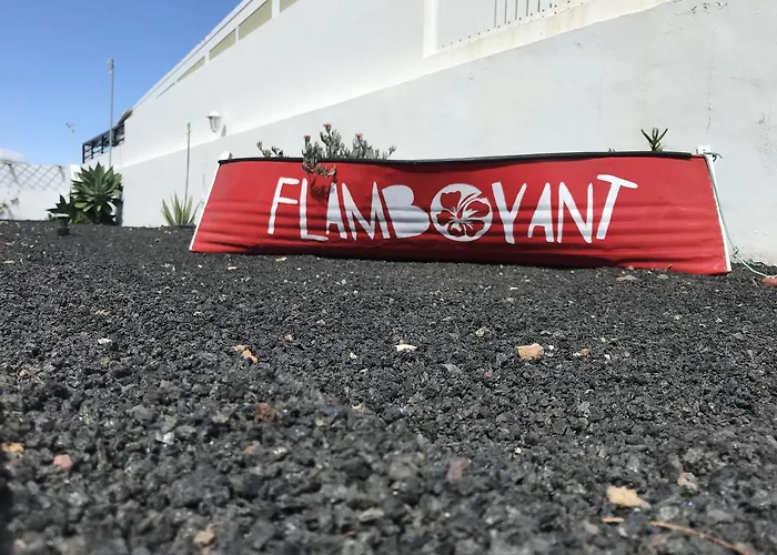 Flamboyant Adults Only * プエルト・デル・カルメン