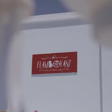 Flamboyant Adults Only